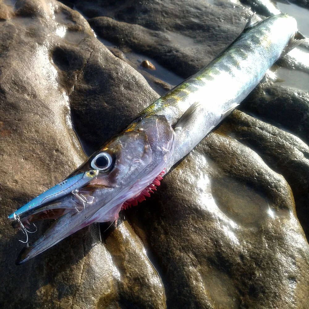 GOBAIT VIB Fishing Lure 20g 25 - Fishing Lure Blade Bait ulasan dan harga